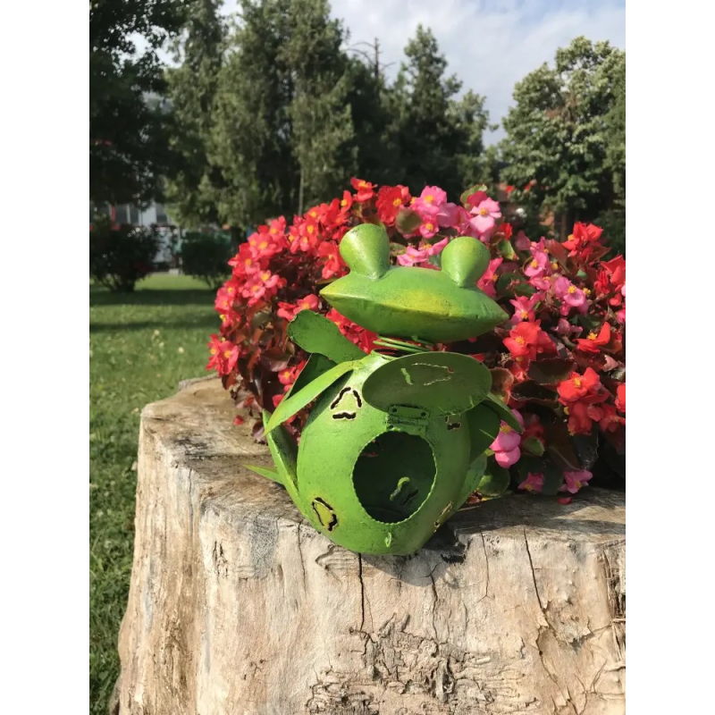 Decoratiune gradina Broscoi cu chitara - 1