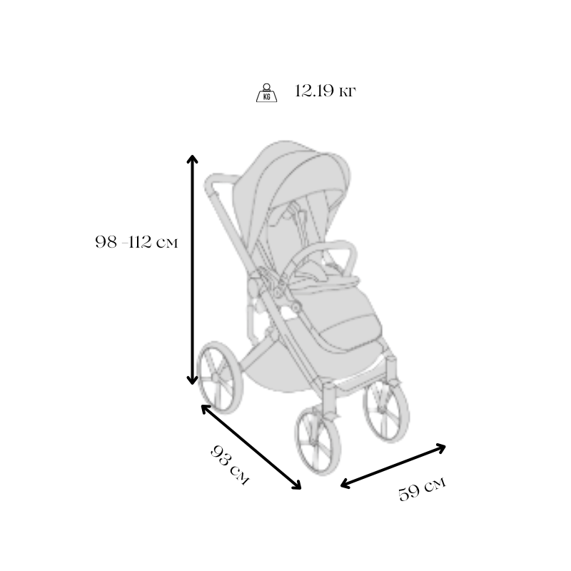 Carucior pentru copii Avionaut Sirius Blue 2 in 1 cu suspensie, maner telescopic, geanta, greutate admisa 22 kg