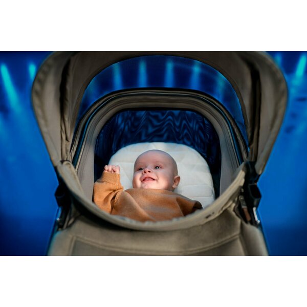 Carucior pentru copii Maxi-Cosi Fame Twillic Black 2 in 1
