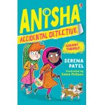 Carte pentru copii Usborne Anisha Accidental Detective Granny Trouble