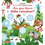 Carte pentru copii Usborne Are you there little Reindeer
