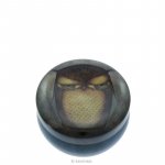 Cutie metalica de depozitare Eclectic Grumpy Owl