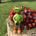 Decoratiune pentru gradina Broasca cu galeata