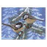 Pictura pe numere pentru avansati Pasarele Carduelis pinus 32x40 cm