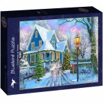 Puzzle 1000 piese Bluebird Puzzle Christmas at Home