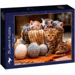 Puzzle 1000 piese Bluebird Puzzle Kittens in Basket