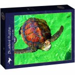 Puzzle 1000 piese Bluebird Puzzle La Reunion Tortue de Mer
