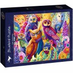 Puzzle 1000 piese Bluebird Puzzle Owl Autonomy