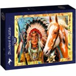 Puzzle 1000 piese Bluebird Puzzle Robinson Howard Indian Chief