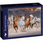 Puzzle 1000 piese Bluebird Puzzle The Horse Race