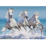 Puzzle 1500 piese Bluebird Puzzle Horse Paradise