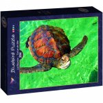 Puzzle 204 piese Bluebird Puzzle La Reunion Tortue de Mer