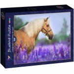Puzzle 300 piese Bluebird Puzzle Cheval dans un Champ de Lupin