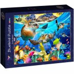 Puzzle 300 piese Bluebird Puzzle Turtle Beach