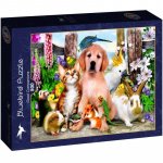 Puzzle 500 piese Bluebird Puzzle Good Companions