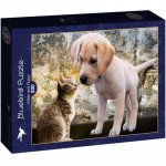 Puzzle 500 piese Bluebird Puzzle Kitten and Puppy