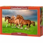 Puzzle 500 piese Castorland Horses in Spring Rush