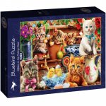 Puzzle Bluebird Adrian Chesterman Kittens in the Potting Shed 1000 piese