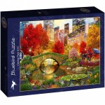 Puzzle Bluebird Central Park NYC 1000 piese