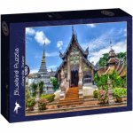 Puzzle Bluebird Chiang Mai Thailand 1000 piese