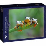 Puzzle Bluebird Friendly Frogs 500 piese