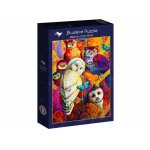 Puzzle Bluebird Galchutt David Meeting of the Minds 1000 piese