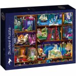 Puzzle Bluebird Library Adventures in Reading 1000 piese