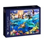 Puzzle Bluebird Oceans of Life 1000 piese