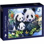 Puzzle Bluebird Panda Family 1000 piese