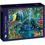 Puzzle Bluebird Parrot Tropics 500 piese