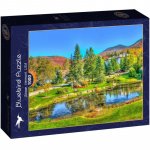 Puzzle Bluebird Stowe Vermont USA 1000 piese
