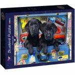 Puzzle Bluebird Travel Labs 48 piese
