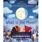 Carte pentru copii Usborne cu clapete Very First Questions and Answers What is the Moon