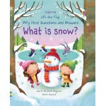 Carte pentru copii Usborne cu clapete What is Snow