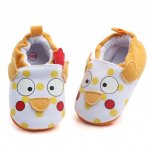 Botosei portocalii Puiut 3-6 luni marime 18