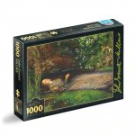 Puzzle 1000 piese DToys John Everett Millais Ophelia