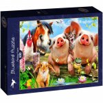 Puzzle 500 piese Bluebird Petting farm