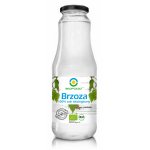 Seva de mesteacan bio 1L Biofood