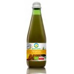 Suc de ananas bio 300ml Biofood