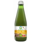 Suc de ghimbir bio 300ml Biofood