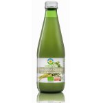 Suc de patrunjel lactofermentat bio 300ml Biofood