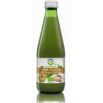 Suc de radacina de telina lactofermentata bio 300ml Biofood