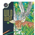 Carte de colorat pe numere MindWare minuni salbatice book 2