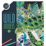 Carte de colorat pe numere MindWare minuni salbatice book 3