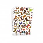 Set 300 autocolante Deco Fluturi