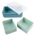 Cutie pranz bento Melii cu compartimente detasabile sage cactus fern