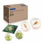 Ciclul de viata al moliei cu piese acrilice Guidecraft