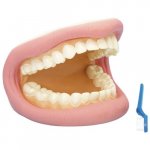 Set educativ TickiT Model de dantura si perie de dinti