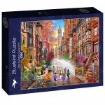 Puzzle 1000 piese Bluebird David Maclean Hot summer days NYC