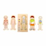Puzzle multistrat de anatomie Baiat Small Foot